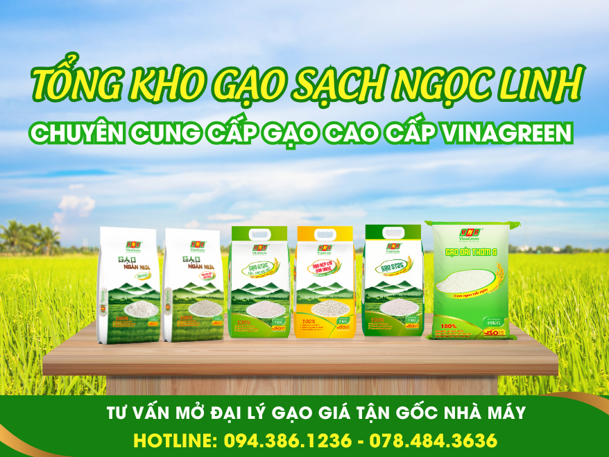 tong-Kho-Gao-Ngoc-Linh-Nguon-Si-Gao-Tai-Thanh-Hoa