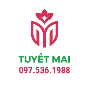 Hoa Lụa Thanh Hóa - Hoa Lụa Tuyết Mai Chợ Vườn Hoa Thanh Hóa
