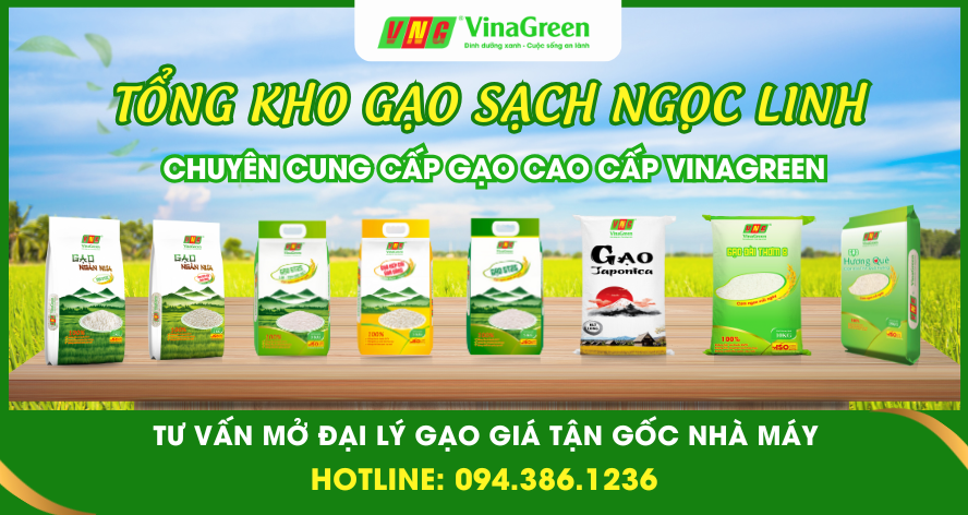 Tổng Kho Gạo Thanh Hóa - Nguồn Sỉ Gạo Uy Tín, Chất Lượng Tại Thanh Hóa